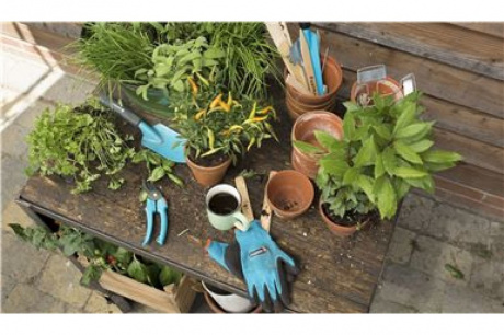 Купить Комлект садовых инструментов базовый Gardena "Домашнее садоводство"     08965-30.000.00 фото №8