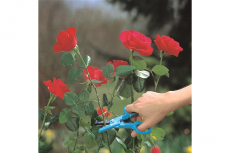 Купить Ножницы для роз Gardena    00359-20.000.00 фото №9