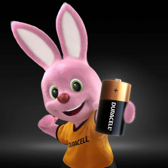 Купить Элемент питания DURACELL LR03 ААА BL2 фото №6