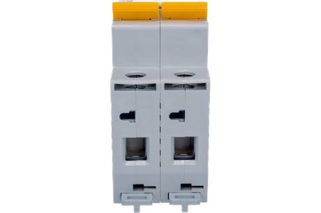 Купить Автоматический модульный выключатель IEK ВА 47-29 2п C 63А 4.5кА ИЭК MVA20-2-063-C фото №4